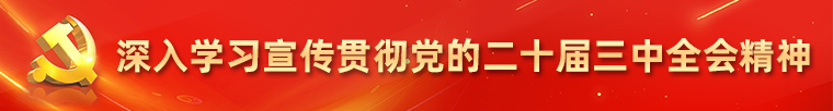 深入学习宣传贯彻党的二十届三中全会精神