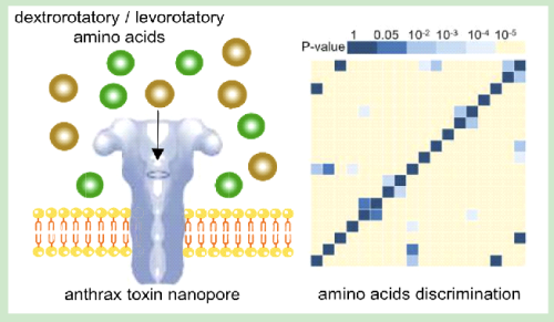 《ACS nano》—重庆研究院在纳米孔单分子生命分析与精确测量技术研究上取得突破